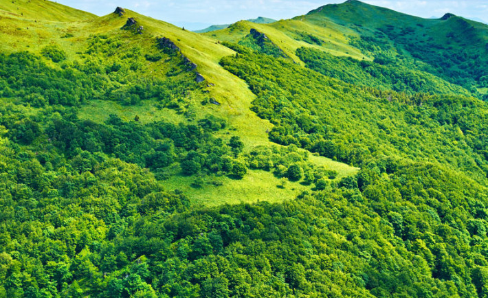 Mountains scenery background. Green landscape. Bieszczady National Park. Carpathians, Poland.